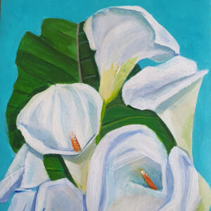 Calla lilies. White.