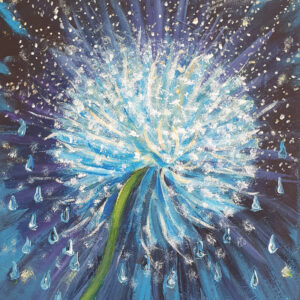 Dandelion in the rain.