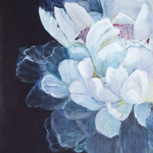 White Peony at night.